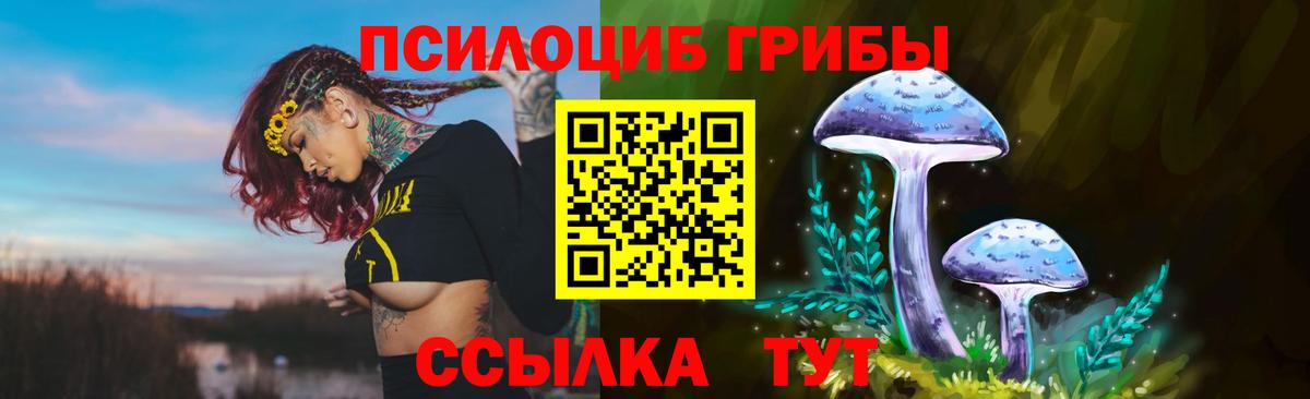 Галлюциногенные грибы Cubensis Красноармейск